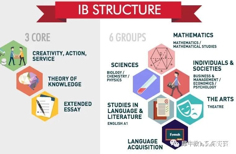 學習IB課程有什么優(yōu)勢？IB課程適合什么樣的學生？