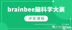 BrainBee競賽為何值得參加？BrainBee培訓(xùn)課程推薦