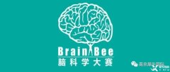 Brain Bee競(jìng)賽如何報(bào)名？地區(qū)/全國(guó)/國(guó)際賽事都考什么？