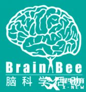 Brain bee腦科學競賽報名即將開啟，5-12年級均可參加的生物競賽~