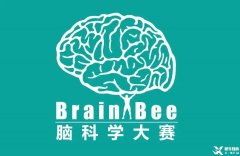 Brainbee腦科學(xué)競賽含金量高嗎？犀牛Brainbee競賽沖刺基礎(chǔ)班報名中~