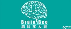 為什么Brain Bee腦科學(xué)大賽越來越受歡迎？附24年Brain Bee比賽時(shí)間