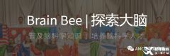 brainbee競賽有必要參加輔導嗎？brainbee腦科學培訓哪里有？