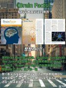 Brainbee腦科學大賽是什么？犀牛Brainbee競賽培訓班還在招生中……