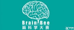 Brain Bee腦科學大賽備考須知！備考Brain Bee競賽考前輔導培訓班有嗎？