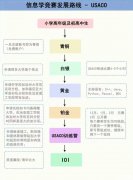 USACO對比NOIP，兩大計算機競賽怎么選？