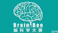 Brainbee腦科學大賽，零基礎(chǔ)居然也能參加的生物競賽！