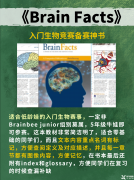 【生物競賽】Brainbee腦科學大賽幾年級可以參加？含金量如何？附Brainbee競賽pdf教材