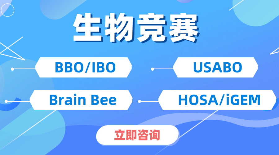 速來圍觀！深度剖析 USABO 和 BBO區(qū)別在哪？不同體系如何備考？